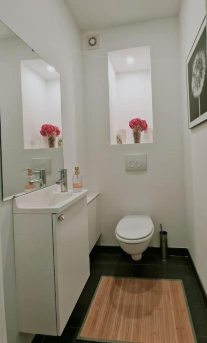 Le Cocon Du Midi - Appartement Cosy Bruselas Exterior foto